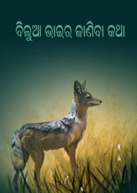 ବିଲୁଆ ଭାଇର ଜାଣିବା କଥା