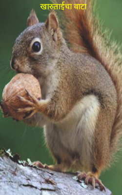 खारूताईचा वाटा