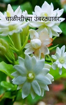 चाळीशीच्या उंबरठ्यावर.