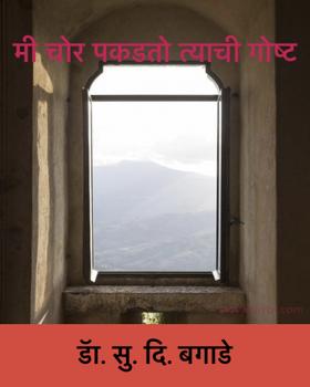 मी चोर पकडतो त्याची गोष्ट