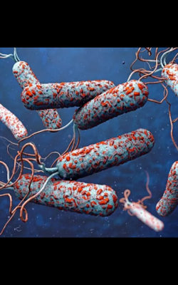 যখন কলেরা শুধু অসুখ ছিল না  (সময়ের অসুখ ও এক  অসম ও অসমাপ্ত ভালোবাসার গল্প