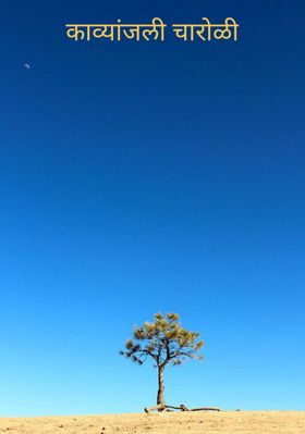 काव्यांजली (चारोळी)