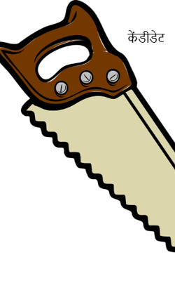 केंडीडेट