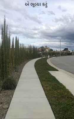 એ ભૂલ્યા કરું