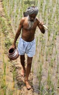 सर्वहारा