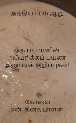 அத்தியாயம் ஆறுஒரு பாமரனின் அமெரிக்கப் பயண அனுபவக் குறிப்புகள்!  கோவை என். தீனதயாளன்