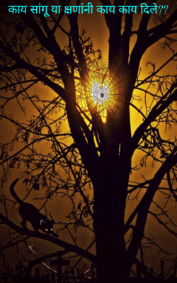 काय सांगू या क्षणांनी काय काय दिले?