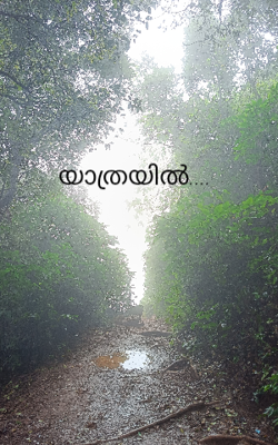 യാത്രയിൽ....