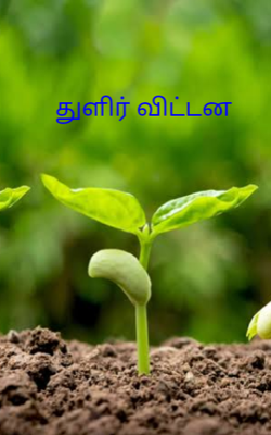 துளிர் விட்டன