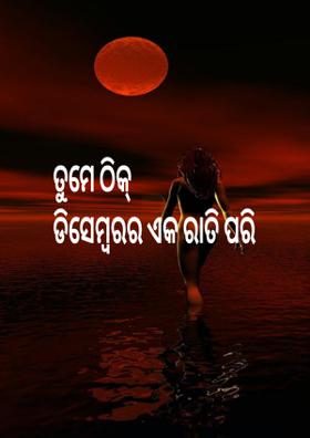 ତୁମେ ଠିକ୍   ଡିସେମ୍ବରର ଏକ ରାତି