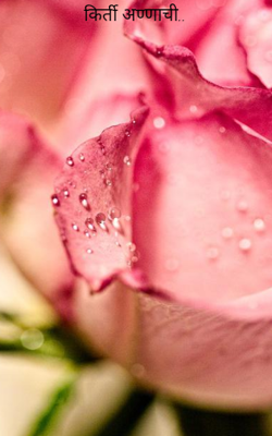 किर्ती अण्णाची..