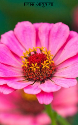 प्रवास आयुष्याचा