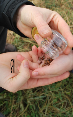 ମା ଓ ମାତୃଭୂମି