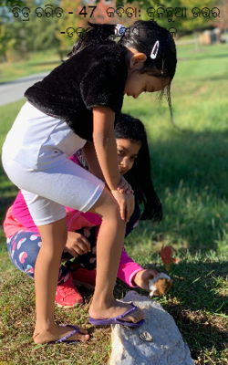 କୁନିଛୁଆ ଉତ୍ତର