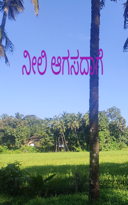 ನೀಲಿ ಆಗಸದಾಗೆ