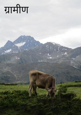 ग्रामीण भारत