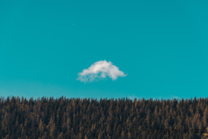 Each morning is like a new birth, a new opportunity another chance to conquer the demons. So make sure to start the day early in the morning.  