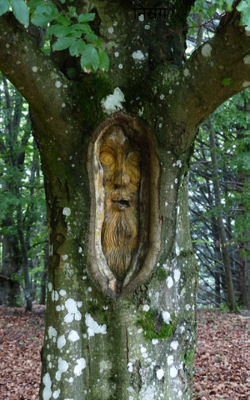 ''निर्सग"