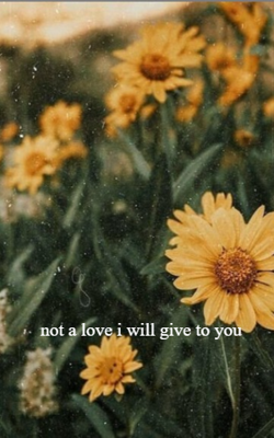 Not a love i will give to you