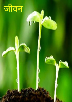 जीवन