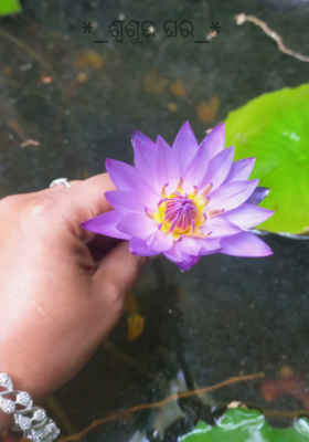 ଶ୍ୱଶୁର ଘର