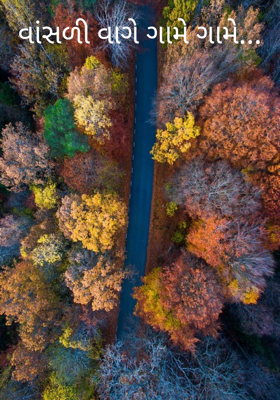 વાંસળી વાગે ગામે ગામે