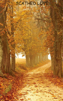 Scathed love