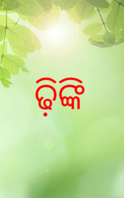ଢ଼ିଙ୍କି