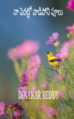 నా పెరట్లో వాడిపోని పూలు