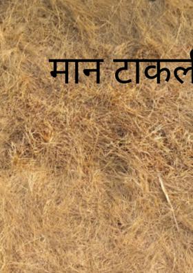 मान टाकली...!