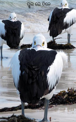 ସ୍କୁଲ ରେ ଦିନେ