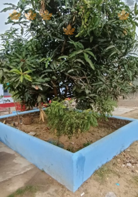 ନାହିଁ କିଛି ସ୍ବାର୍ଥ