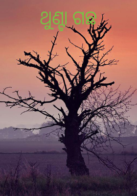 ଥୁଣ୍ଟା ଗଛ