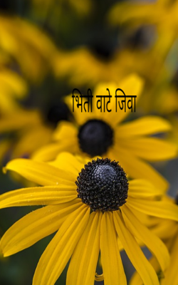 भीती वाटे जिवा