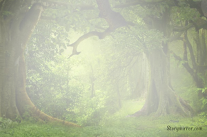 I wish I could tell you what I wanna say that time ...... whenever I thought I can, It was being more difficult for me to tell you. You're always the one I talk about, I care about. I don't care what people say to me, all that I care about is "you". My heart thudded  a lot to say the things I wish I could tell you. These few lines are enough to beat my heart faster than usual. I literally don't ca