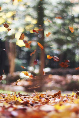 It’s Hard to Love a Feminist