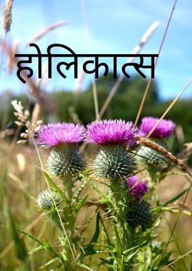 होलिकात्स