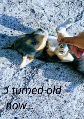 I Turned Old Now...