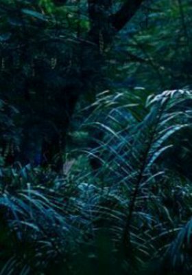 હાઈકુ - તાઉ....તે