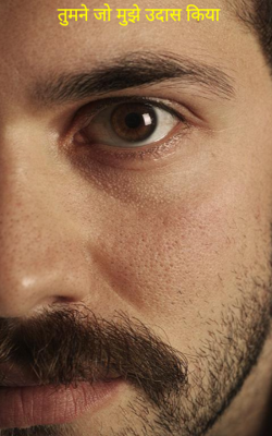 तुमने जो मुझे उदास किया