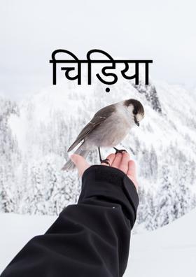 चिड़िया