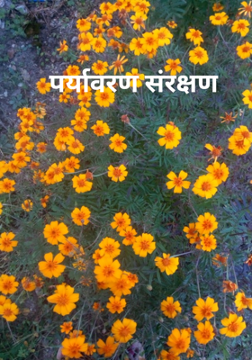 पर्यावरण संरक्षण