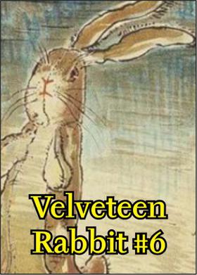 Velveteen Rabbit #6