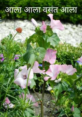 आला आला वसंत आला