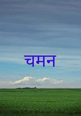 चमन