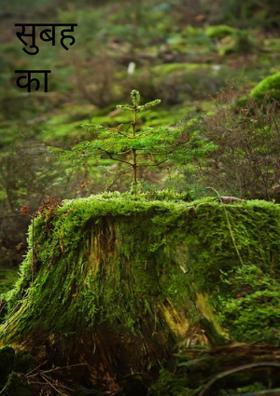 सुबह का भूला