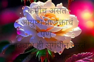 कमीच असतं
आयुष्य प्राजक्ताचं
पण 
तेवढ्यात ही सुगंधीत करतं
प्रत्येकाच्या मनाला
अन् मोहून  टाकतं
प्रत्येक क्षणाला