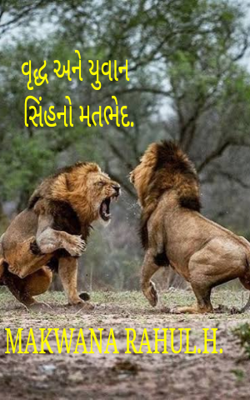 વૃદ્ધ અને યુવાન સિંહનો મતભેદ