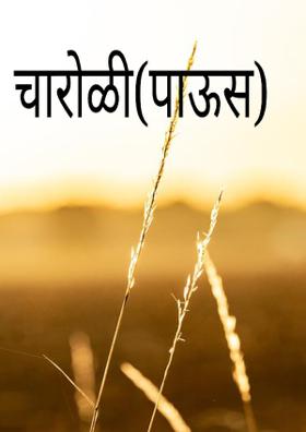 चारोळी(पाऊस)