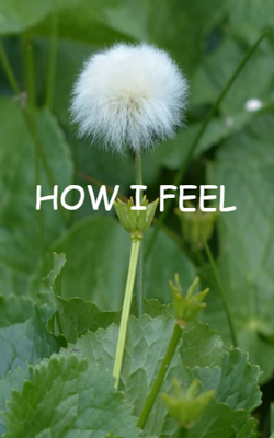 HOW I FEEL